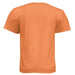 Orange - N6210 - BACK
